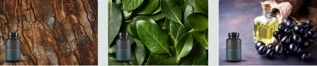 Performer 8 Certified Ingredients