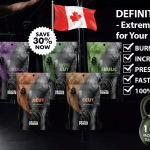 Brutal Force Definition Stack Canada Review