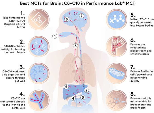 Performance Lab MCT Brain Support